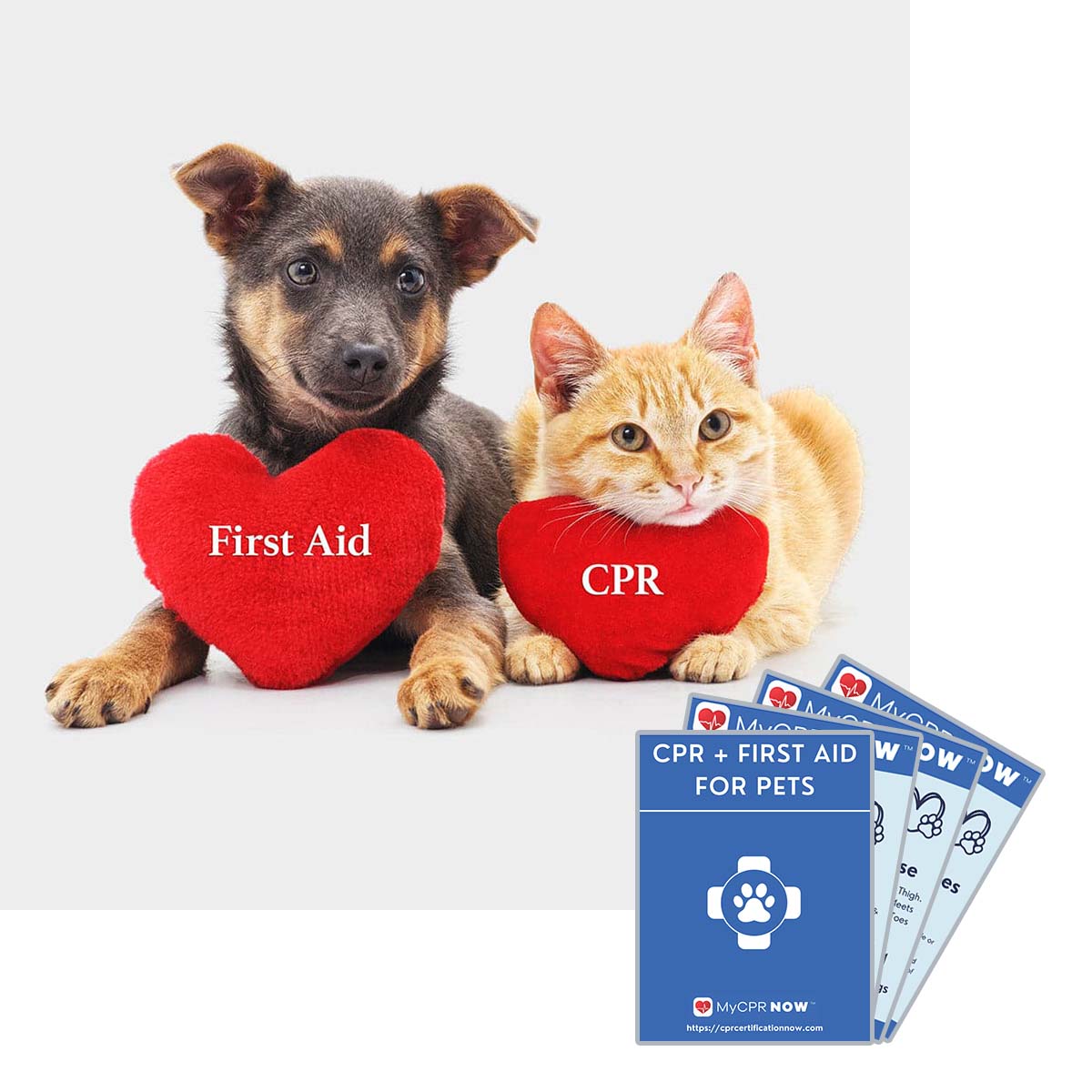 Pet CPR + FIrst Aid Quick Reference Kit (PDF)