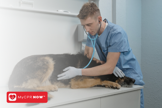 Pet CPR: A Lifesaving Guide for Your Furry Friends