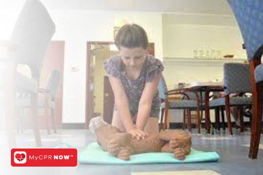 Pet First Aid: Critical Knowledge for Pet Owners