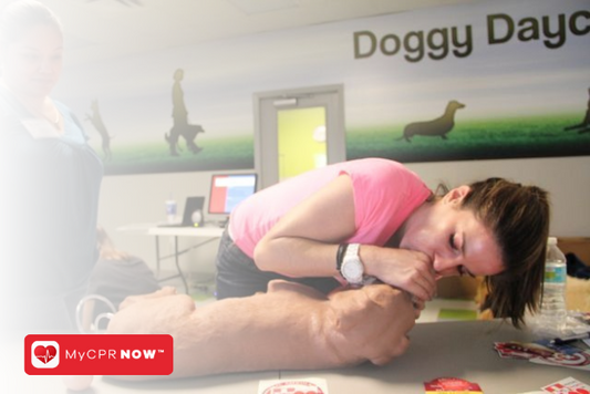 Pet CPR: Ensuring the Safety of Your Furry Friends
