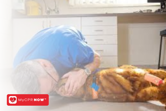Pet CPR: Essential Lifesaving Skills for Pet Parents