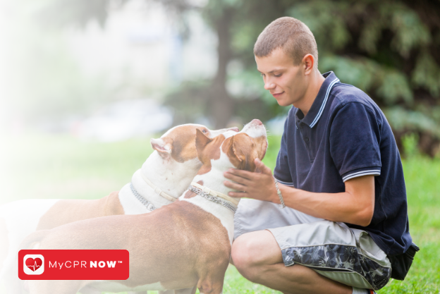 The Importance of CPR and First Aid Training for Pet Owners