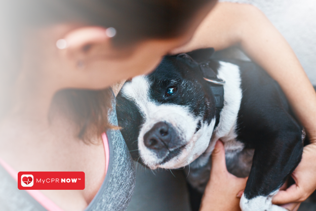 Pet CPR: Turning Pet Owners into Lifesavers