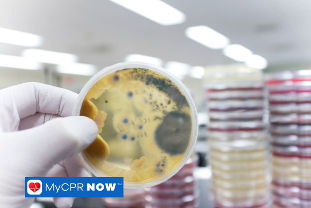 Scientist holding a petri dish with bacterial growth in a lab setting