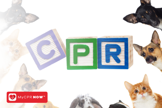 Pet CPR: Your Guide to Saving Your Pet's Life