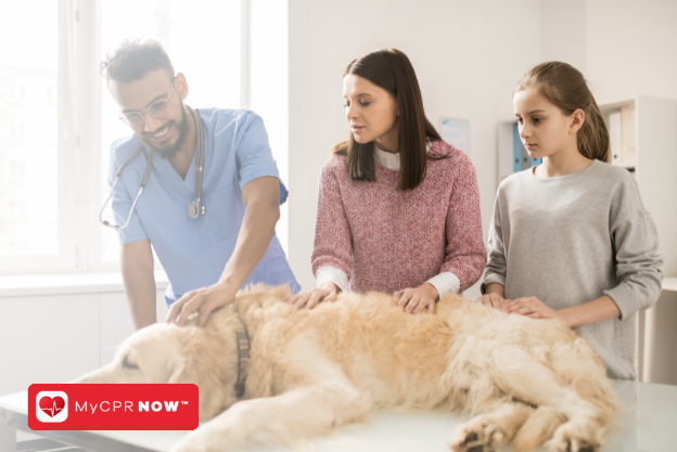 The A-Z of Pet First Aid and CPR