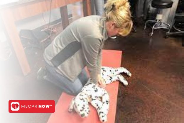 Pet CPR: A Vital Skill for Responsible Pet Ownership