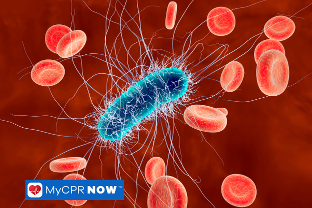 Blue bacterial cell surrounded by red blood cells.