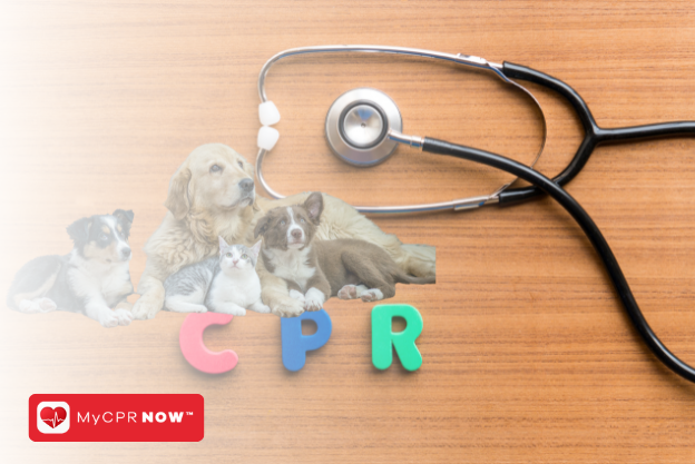 Pet CPR: A Skill Every Pet Owner Should Master