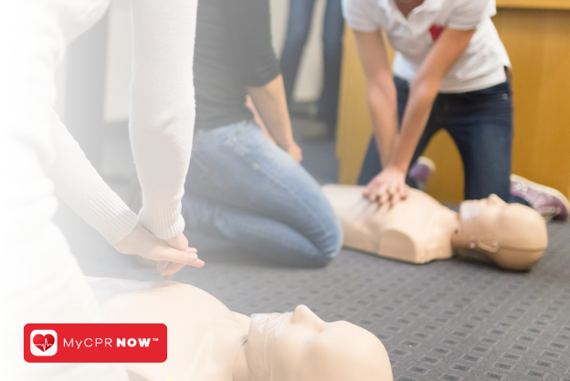 People practicing on CPR mannequins.