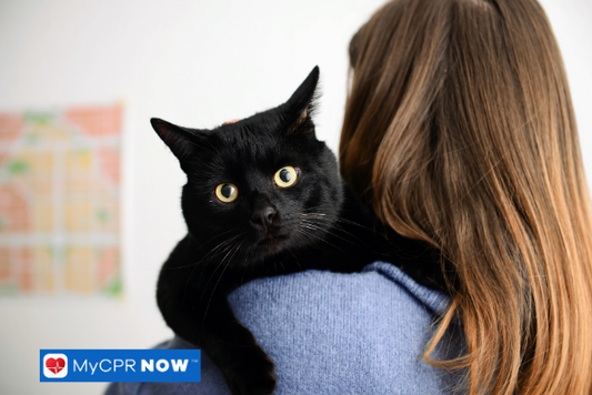 Person holding a black cat looking over their shoulder.