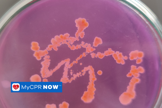 Bacterial colonies forming in a petri dish with a purple medium.