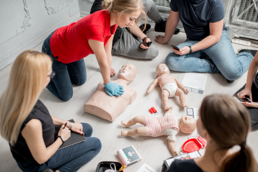 A group of six people sitting on the ground inside around three CPR mannequins. one adult CPR mannequin and two infant CPR mannequins. One person in a red shirt is performing CPR chest compressions on the adult CPR mannequin. 