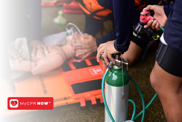 First Aid for Dogs: Dealing with Accidental Chocolate Ingestion