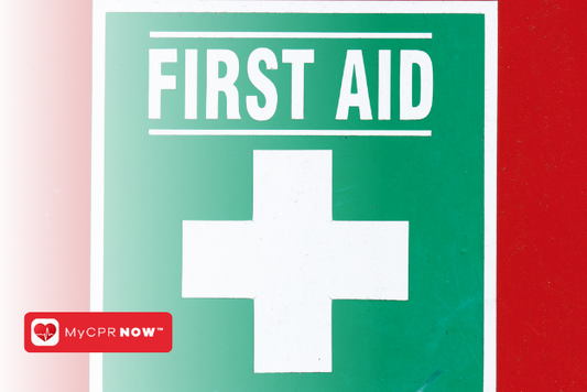 First Aid for Dogs: How to Respond to a Seizure