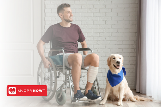 First Aid for Dogs: Managing Canine Respiratory Issues