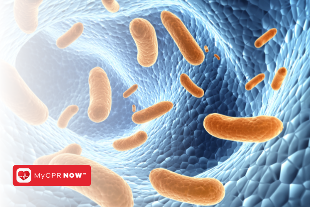 Handling Pathogen How to Stay Safe When Handling Bloodborne Pathogens