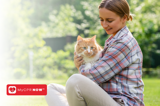 How to Treat Snake Bites in Cats: A Guide for Pet Owners