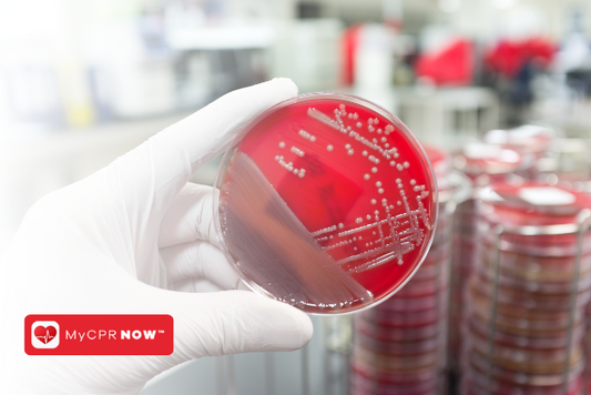 Understanding Bloodborne Pathogens: The Basics