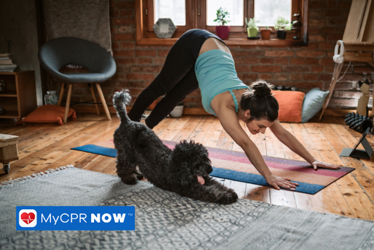 Canine Yoga: Stretching Toward Heart Health