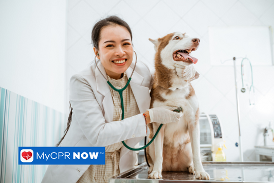 Lifesaving Hearts: AEDs and Pets - Navigating Special Considerations