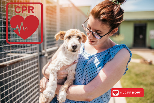 Saving Lives on Both Ends of the Leash: Why CPR Certification is Important for Animal Shelter Workers with MyCPR Now