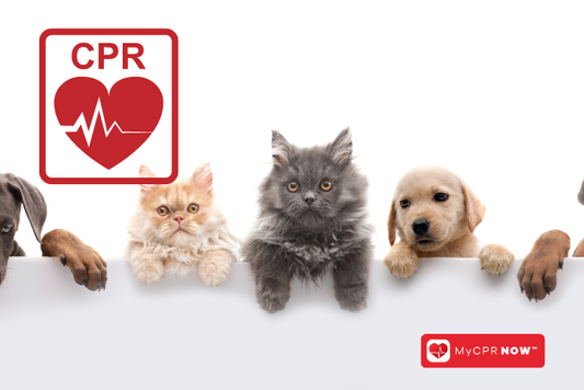 Be Prepared to Save Your Pet's Life: Why Pet CPR and First Aid Certification Matters