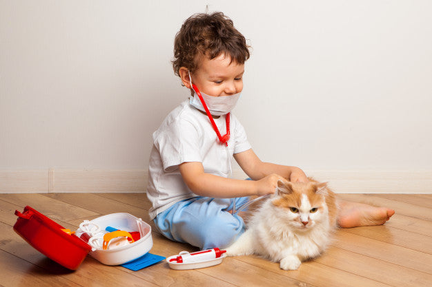 FIRST AID FOR DOGS AND CATS CERTIFICATION